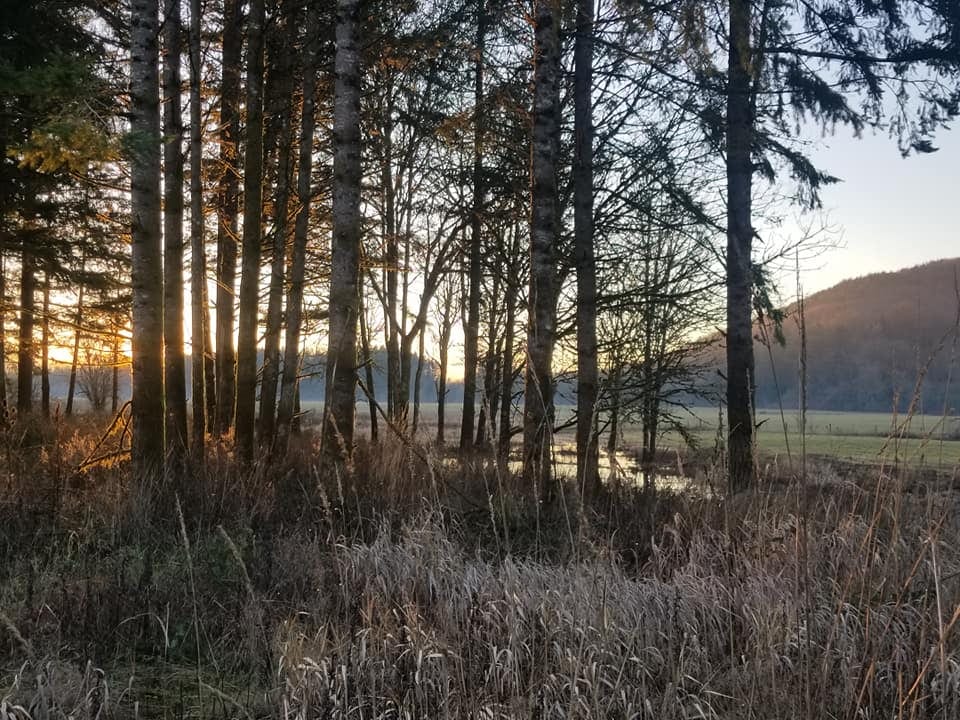 Anita C Carlson-VAN DORM REALTY, INC.