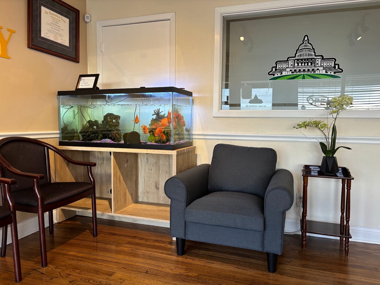Center Of Carewell Dentistry, photo 4