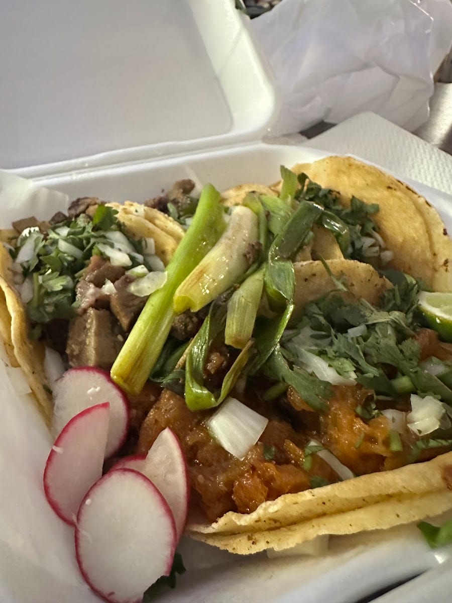 Rocky's Tacos Tampa