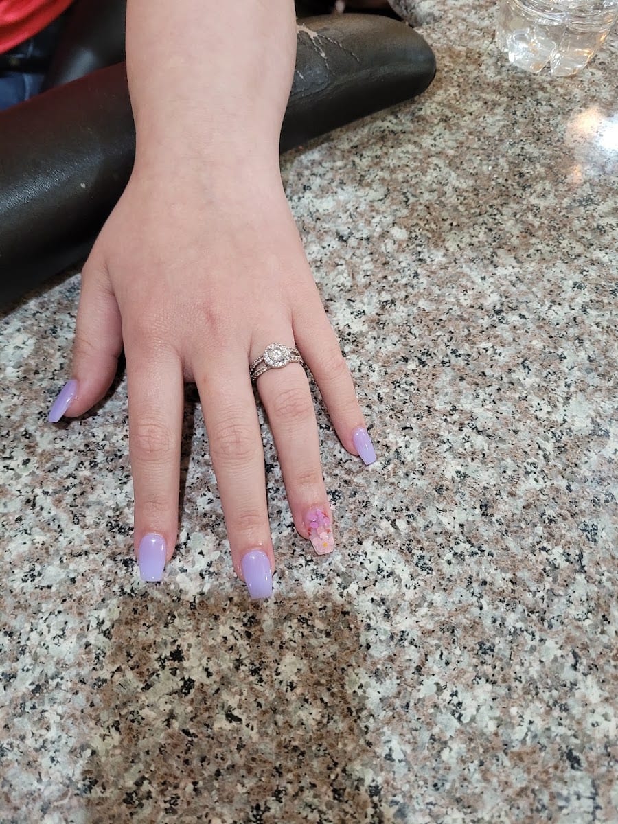 Venus Nails & Spa, photo 3