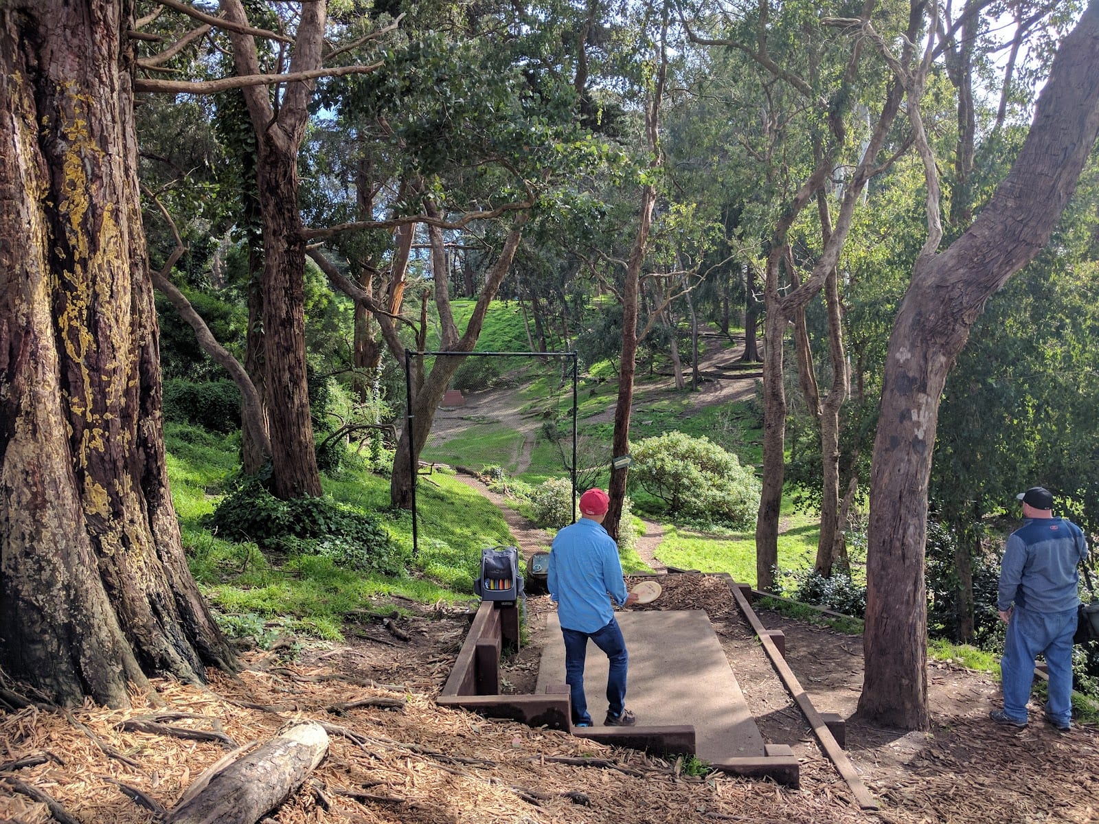 Golden Gate Park Disc Golf Course, photo 3