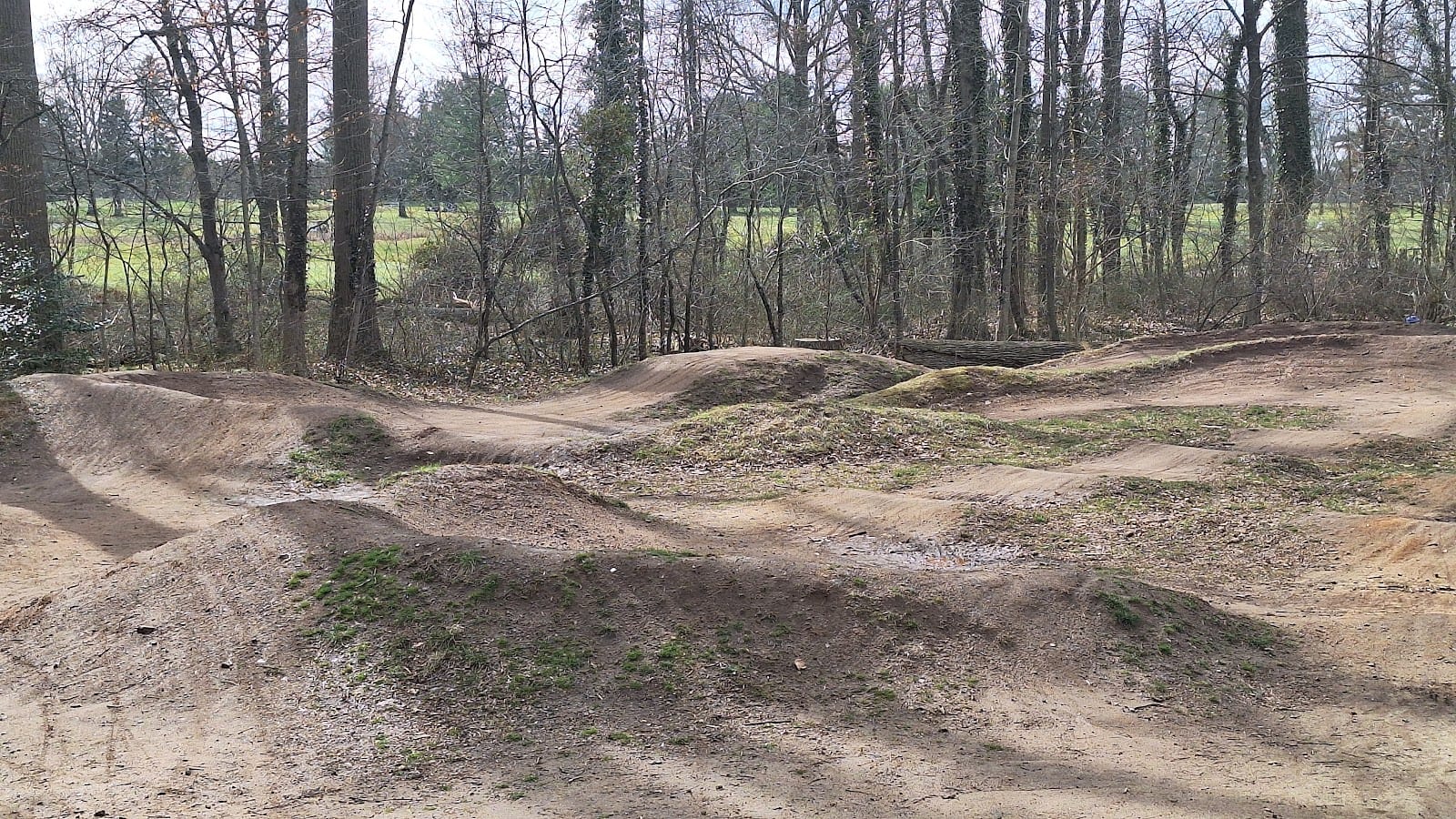 Chapman Park, photo 3