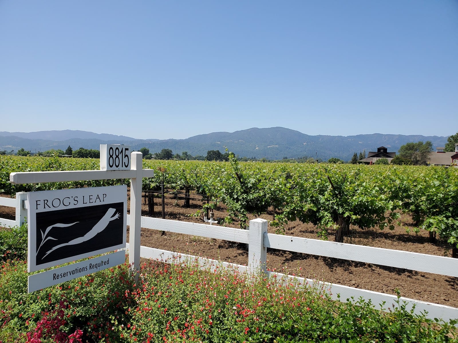 Frog's Leap Winery
