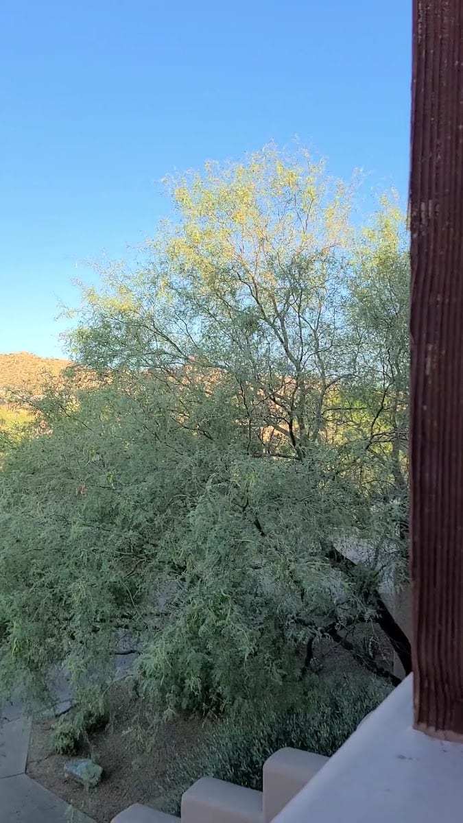 The Spa at Four Seasons Resort Scottsdale at Troon North, photo 3