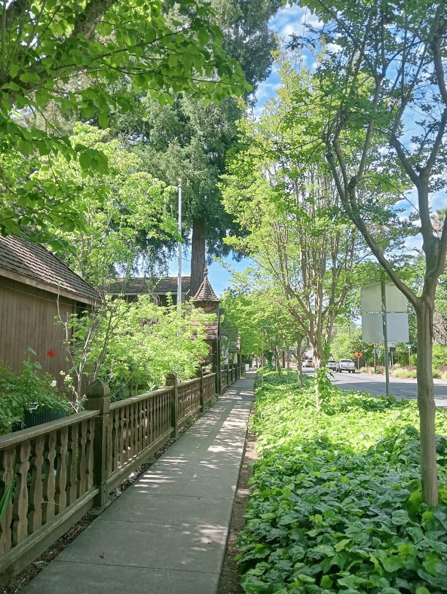 Calistoga Parks & Recreation, photo 2