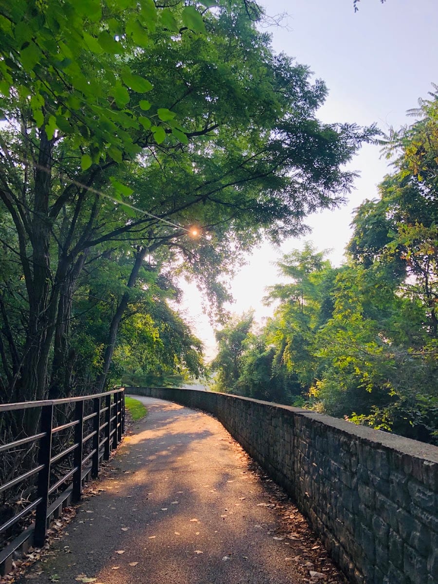 Bloomingdale Park, photo 3