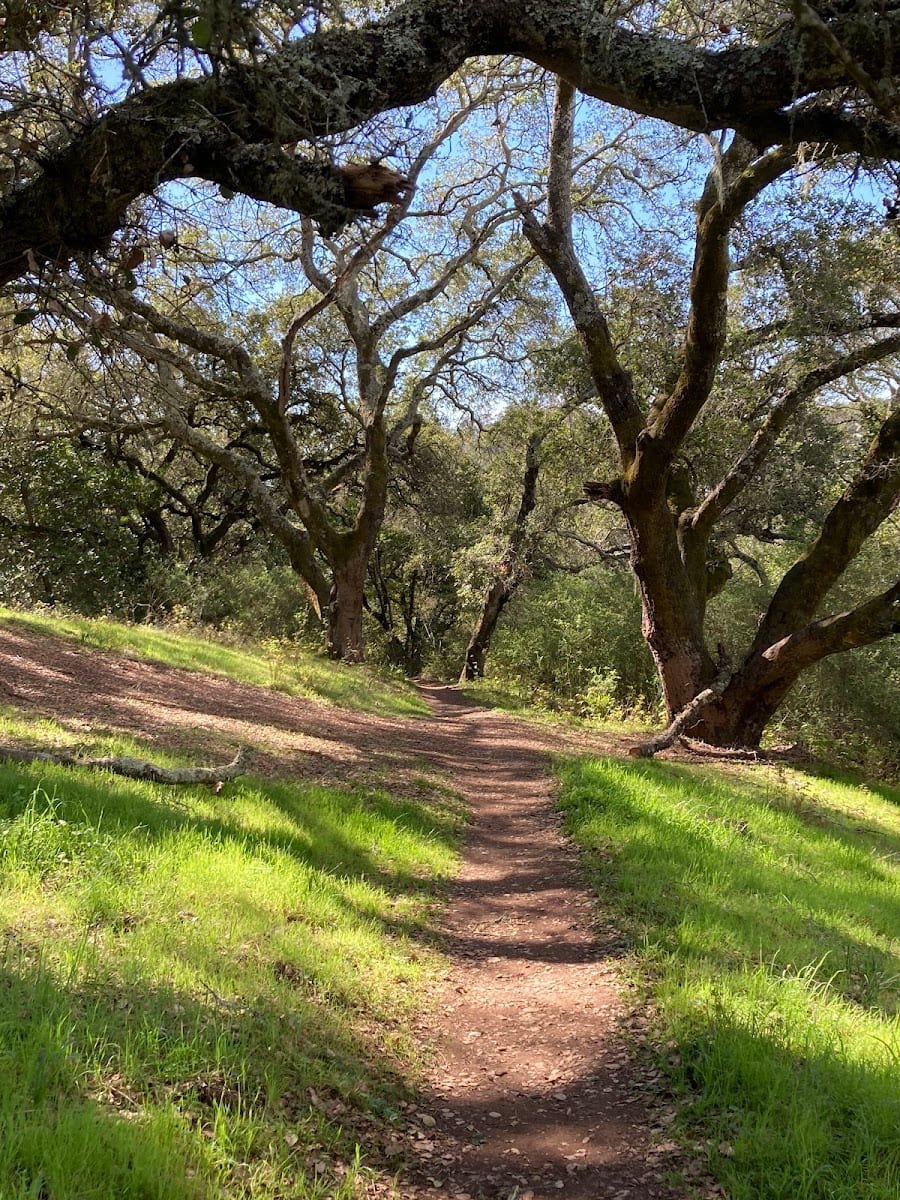 Westwood Hills Park, photo 3