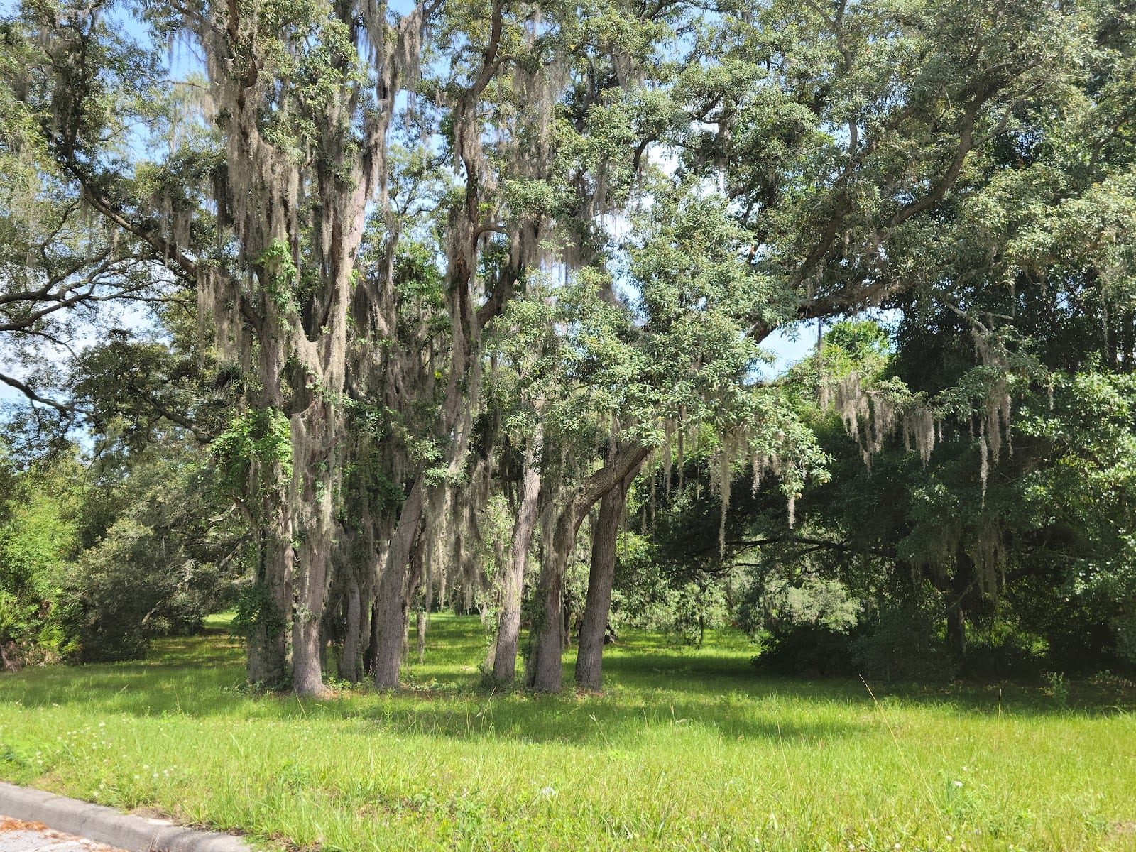 Geopark USF, photo 3