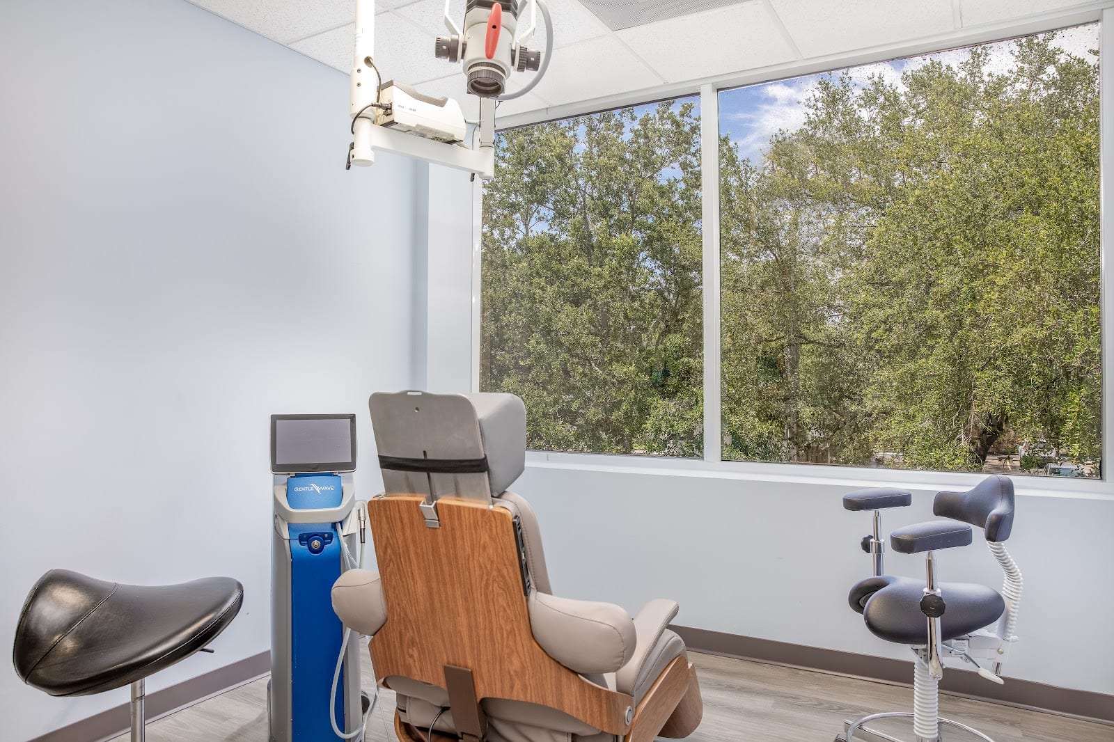 Siesta Key Root Canal Specialists: Carla Webb, DMD