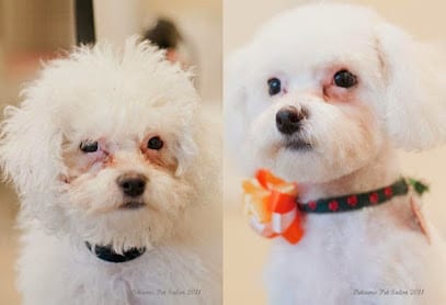 Petiamo Pet Salon