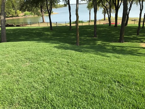Ryno Lawn Care, LLC, photo 3