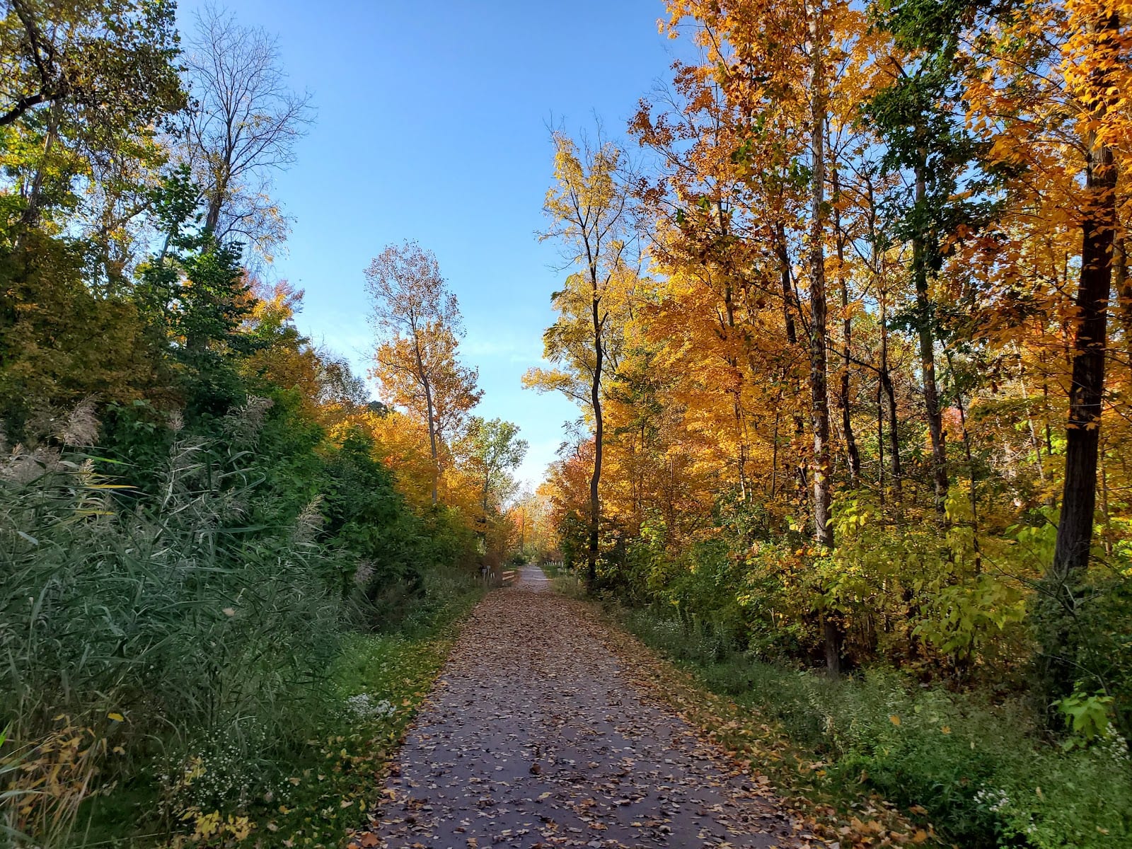 Becket's Run Trail Head