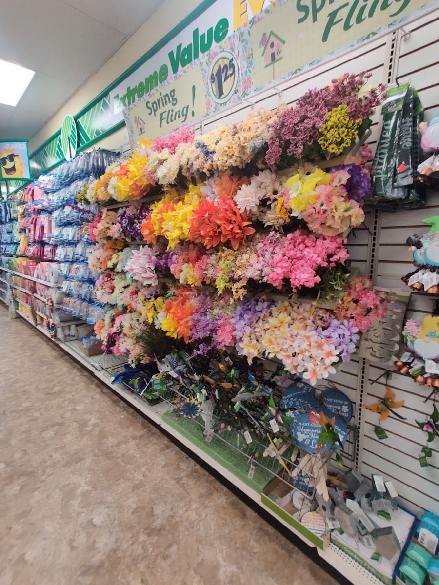 Dollar Tree, photo 4