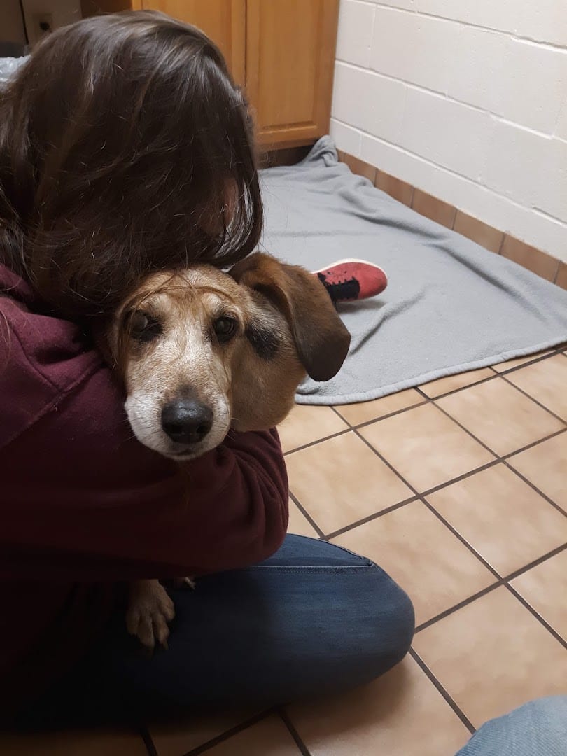 Dickman Road Veterinary Clinic, photo 4