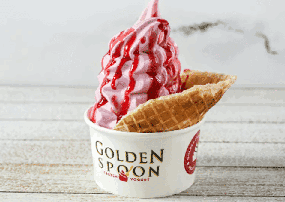 Golden Spoon Frozen Yogurt, photo 2