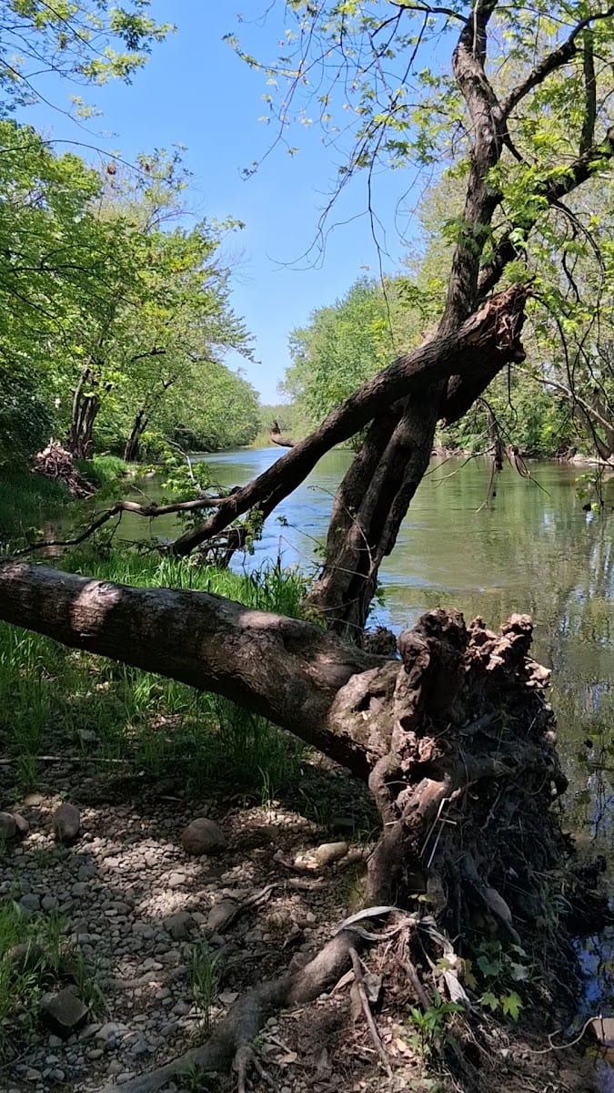 White River Trailhead: 8th and Raible, photo 2