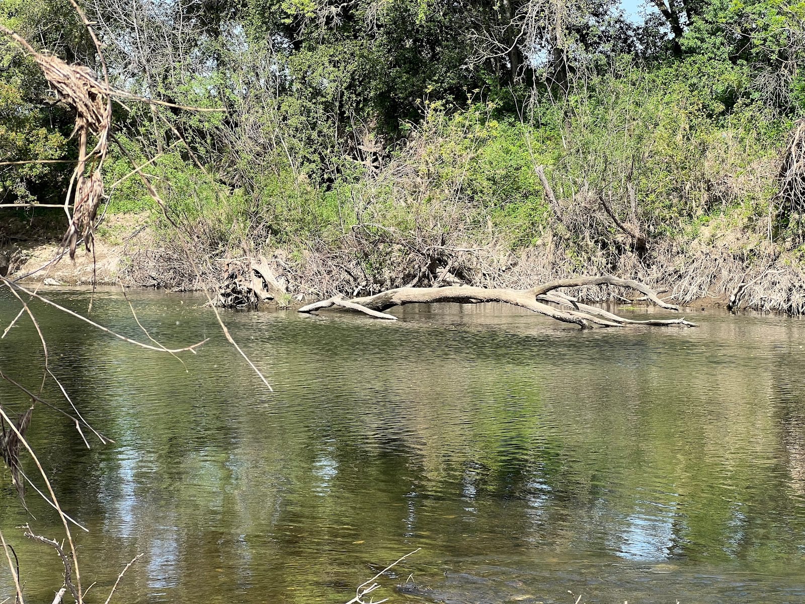Trancas Crossing Park, photo 3