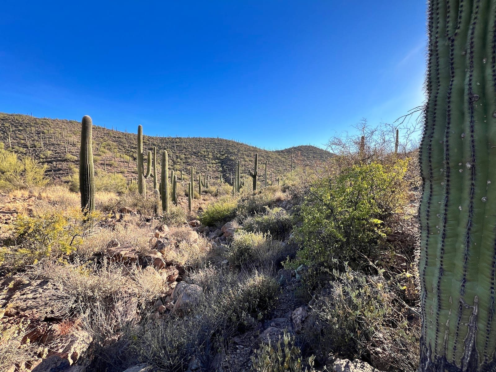 Lorraine Lee Hidden Canyon Trail Access