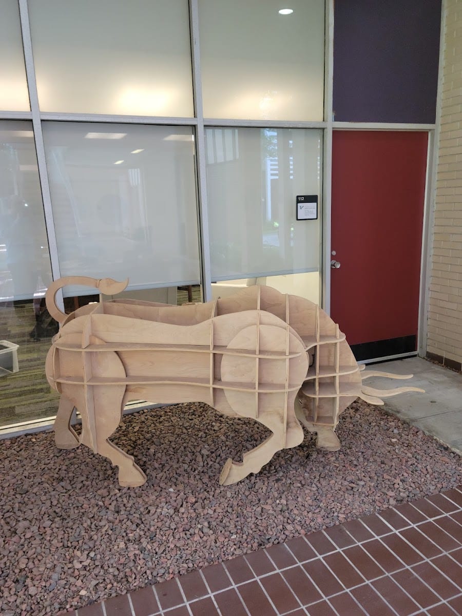 USF School of Art and Art History, photo 4