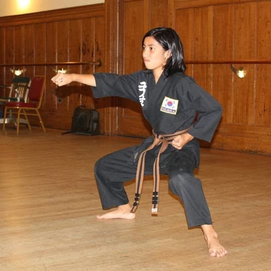 SF Martial Arts, photo 3