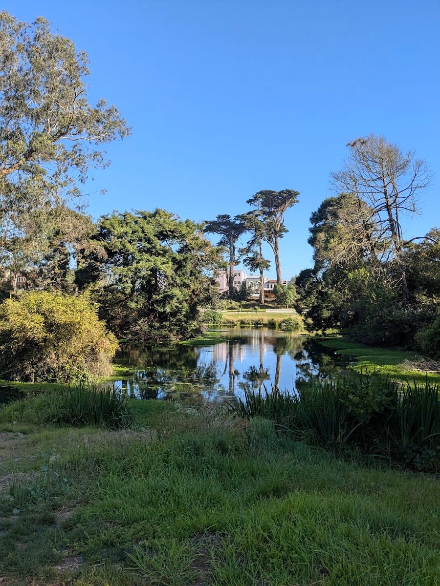 Chain of Lakes Meadow, photo 3
