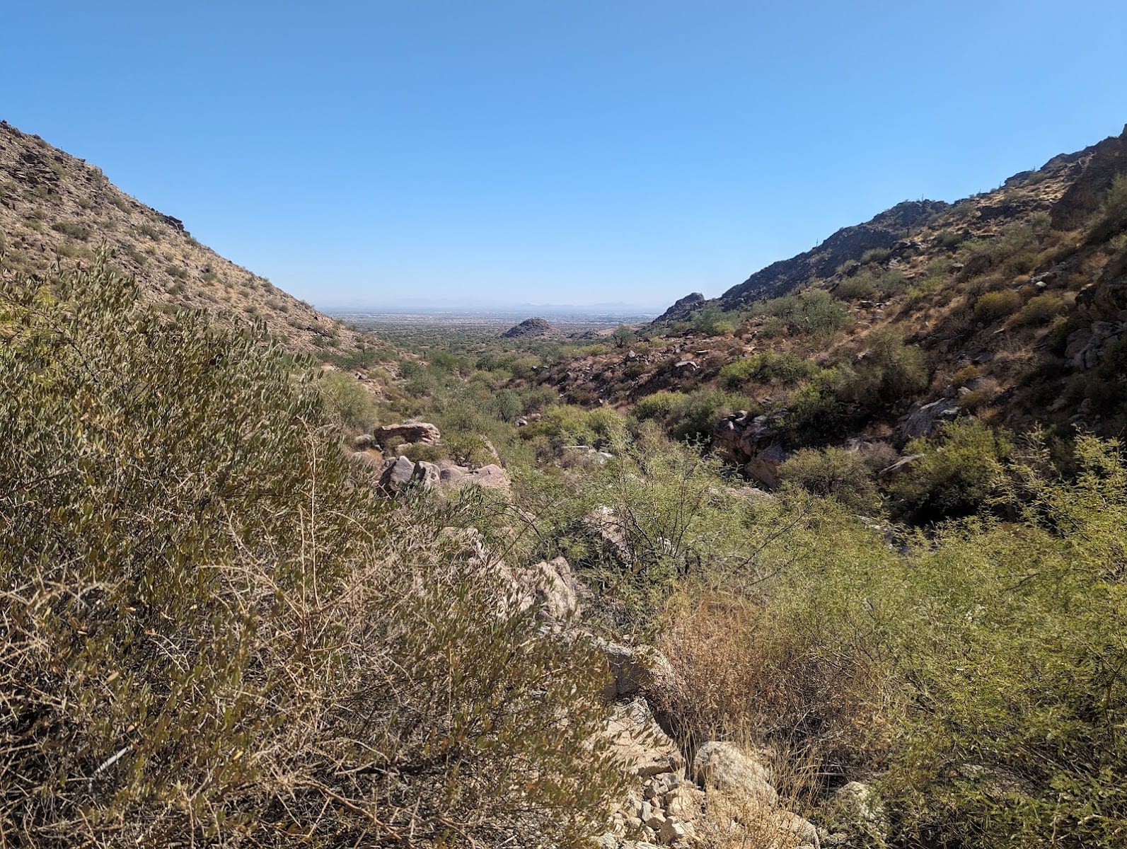 Arizona Retina & Vitreous Consultants