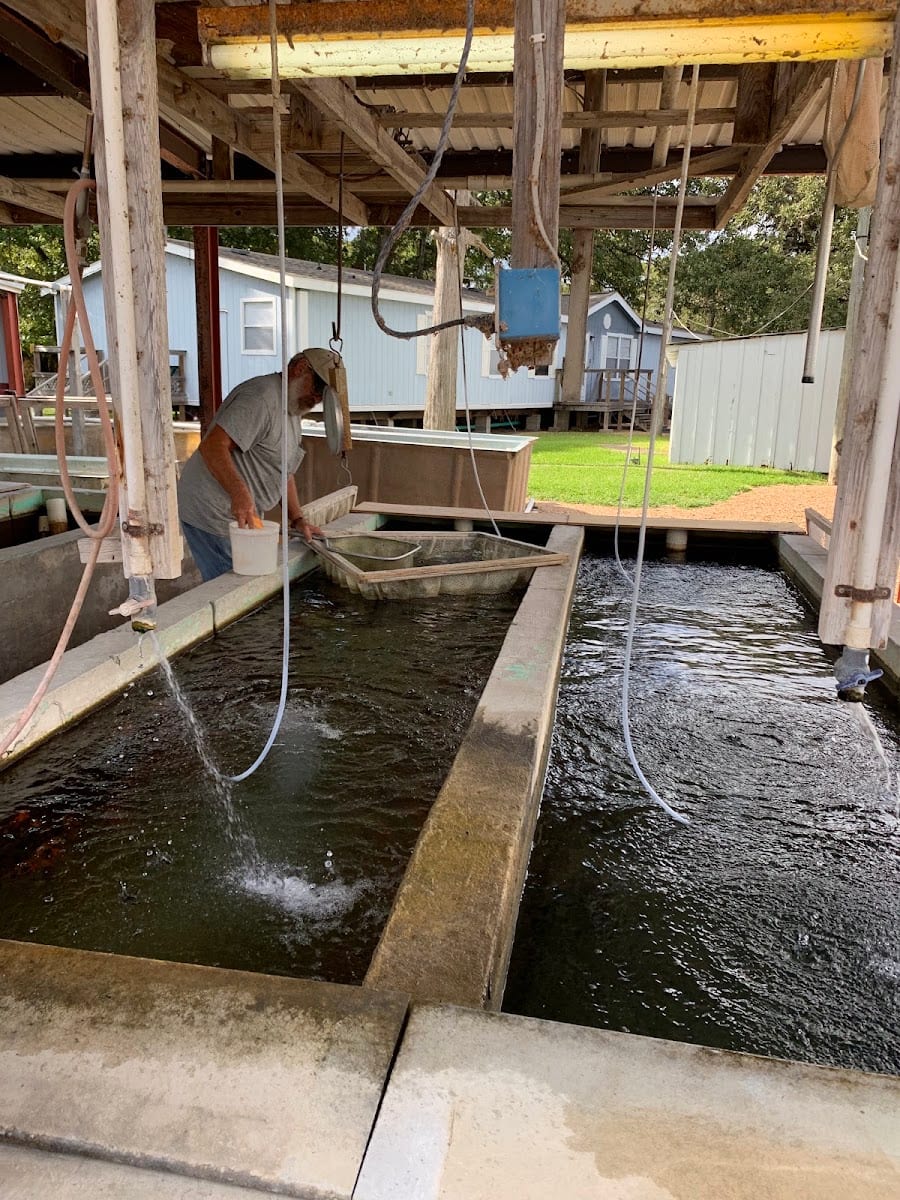 Brenham Fisheries