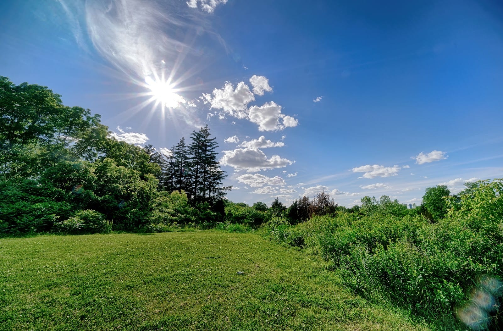Fred Young Park