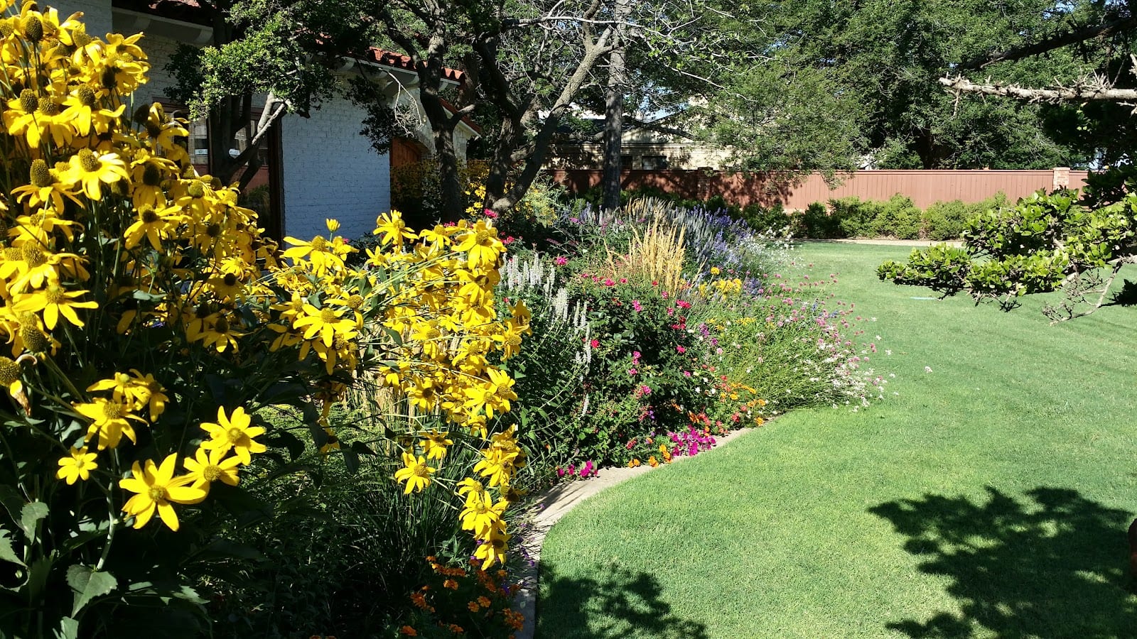 Dana Palmer Healthy Lawns & Weed Control - Lubbock, photo 2