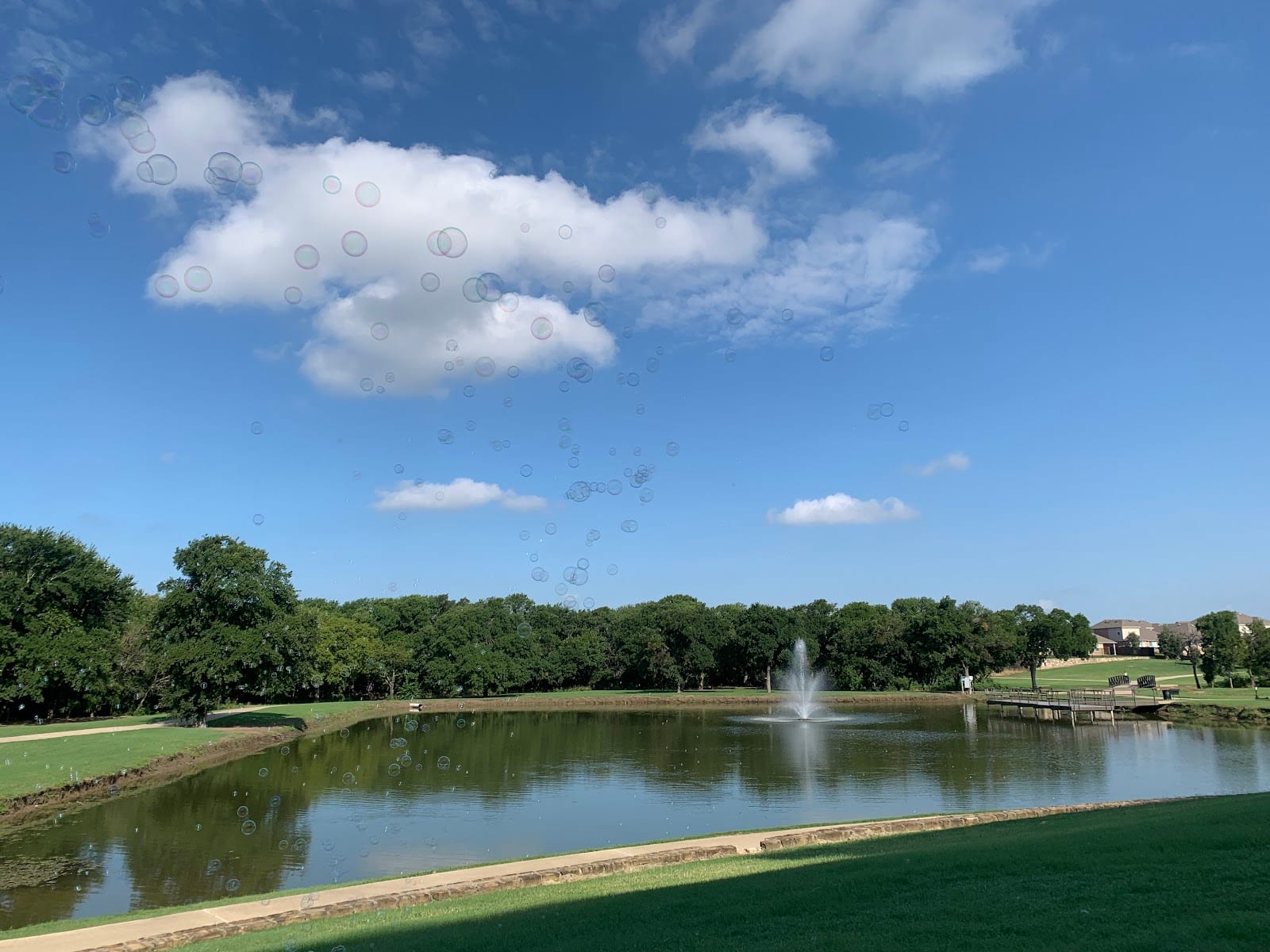 McCord Park