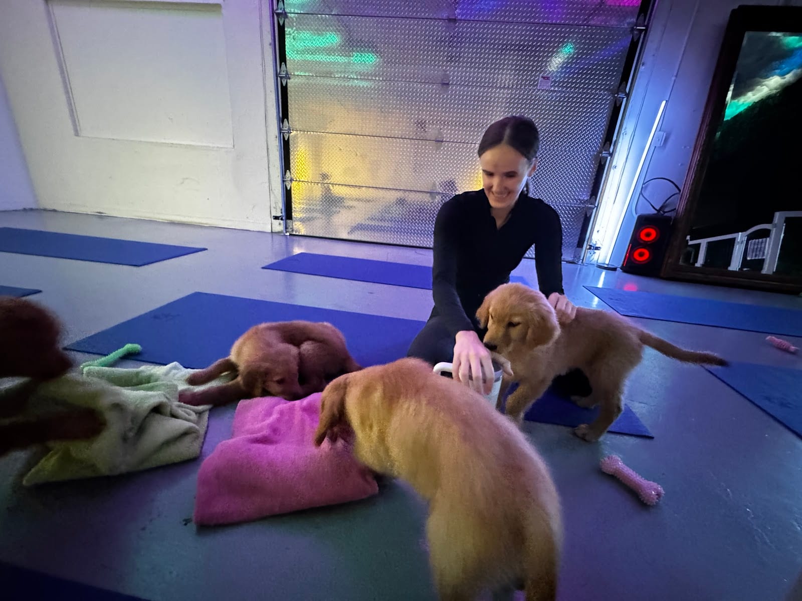 Puppy Yoga Scottsdale (Puppies Yoga), photo 3