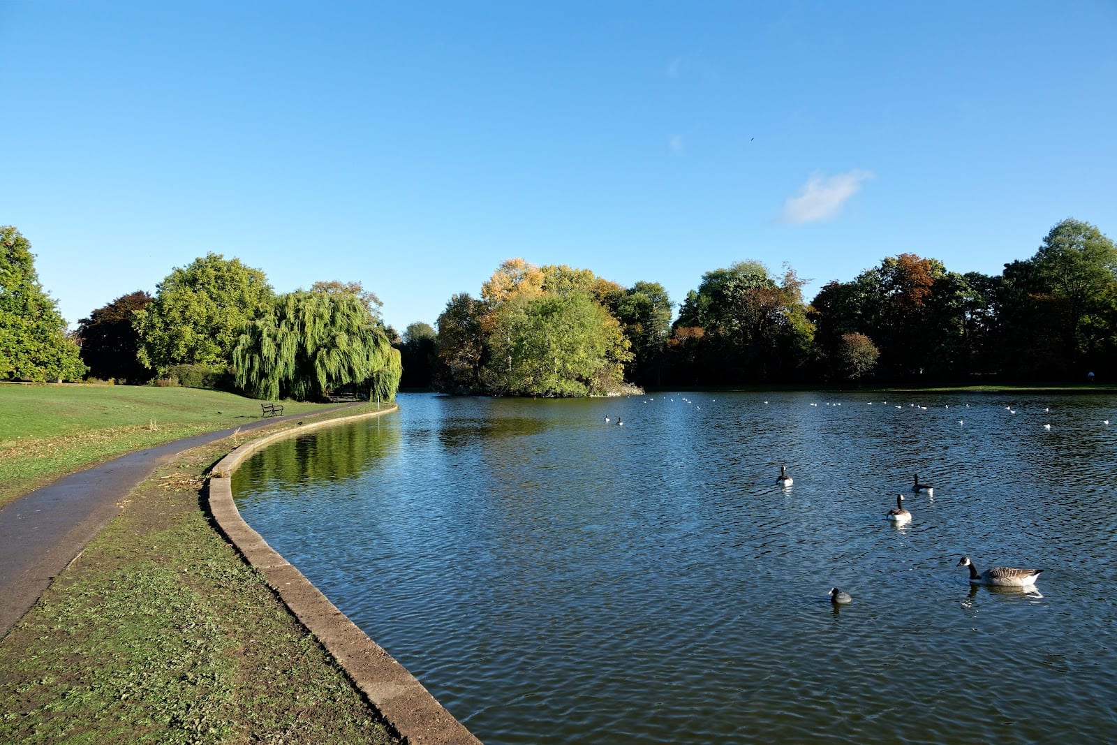 Verulamium Lake