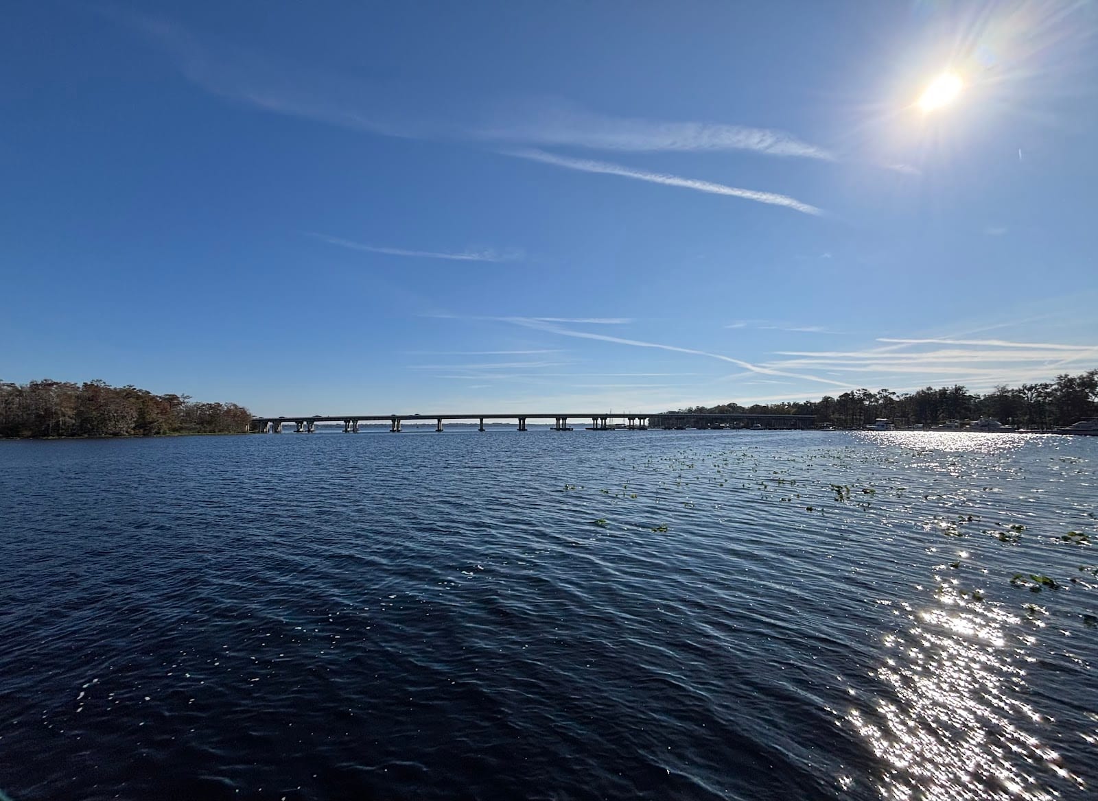 eBird Hotspot: Camp Chowenwaw, photo 3