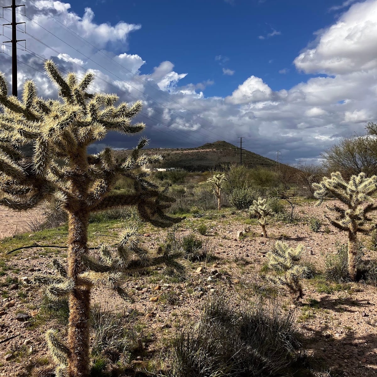 Santa Cruz River Park Silverlake Access, photo 3