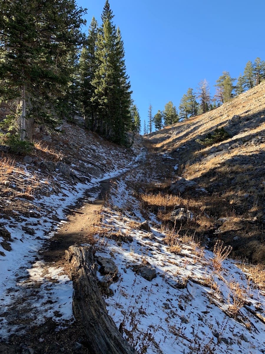 Naomi Peak Trailhead, photo 3