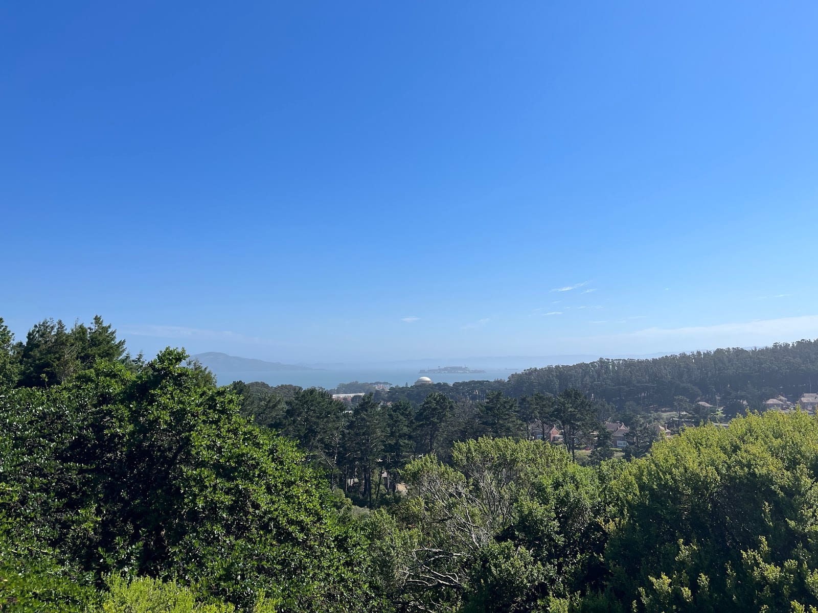 Ecology Trail