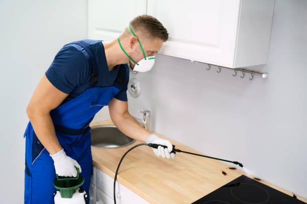 Reliable Annapolis Pest Control