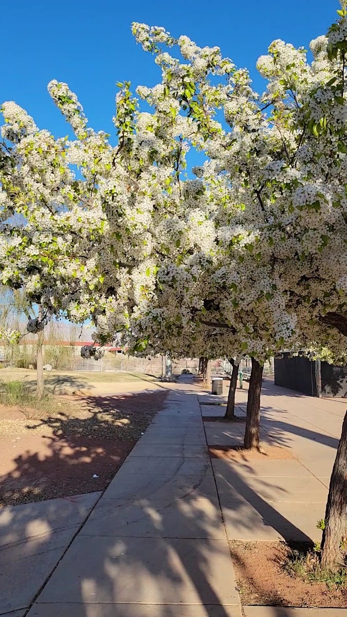 Doc Romeo Park, photo 2