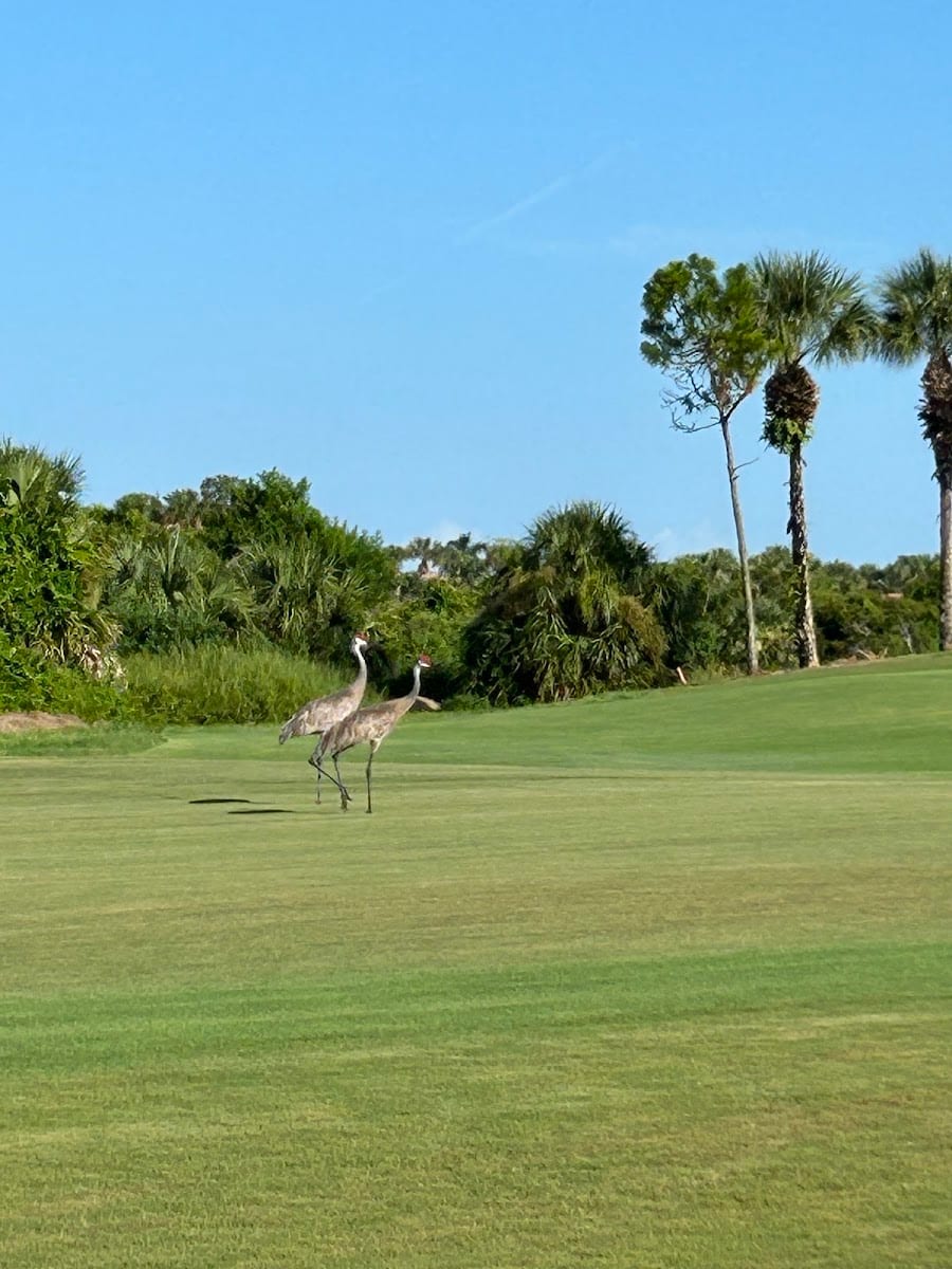 Sarasota National Golf Maintenance, photo 3
