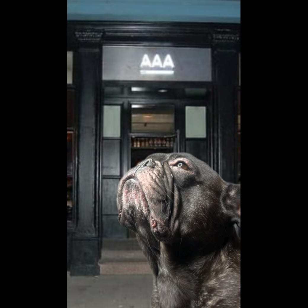 AAA Bar, photo 4