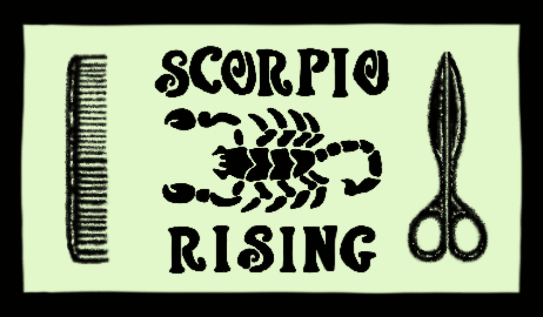 Scorpio Rising Hair Salon, photo 3