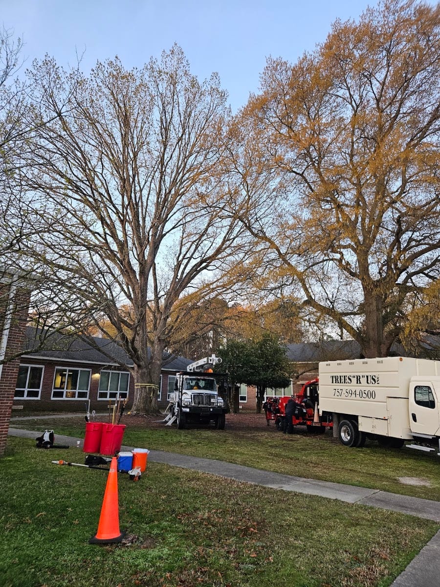 Trees R Us, Inc., photo 3