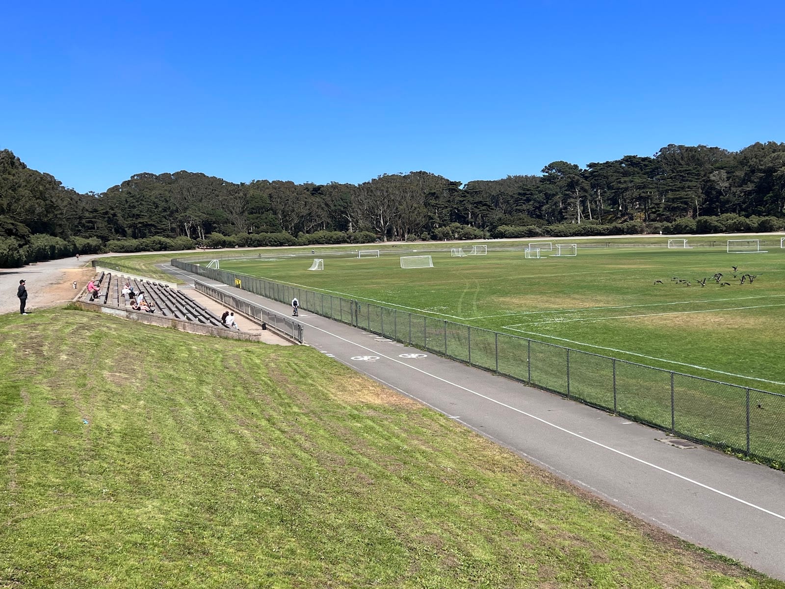 Golden Gate Park Polo Field