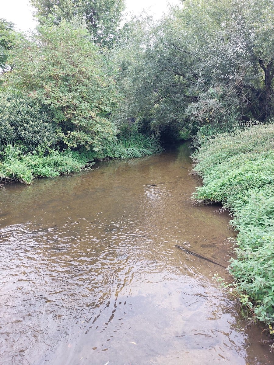 Brocket Hall circular walk, photo 3