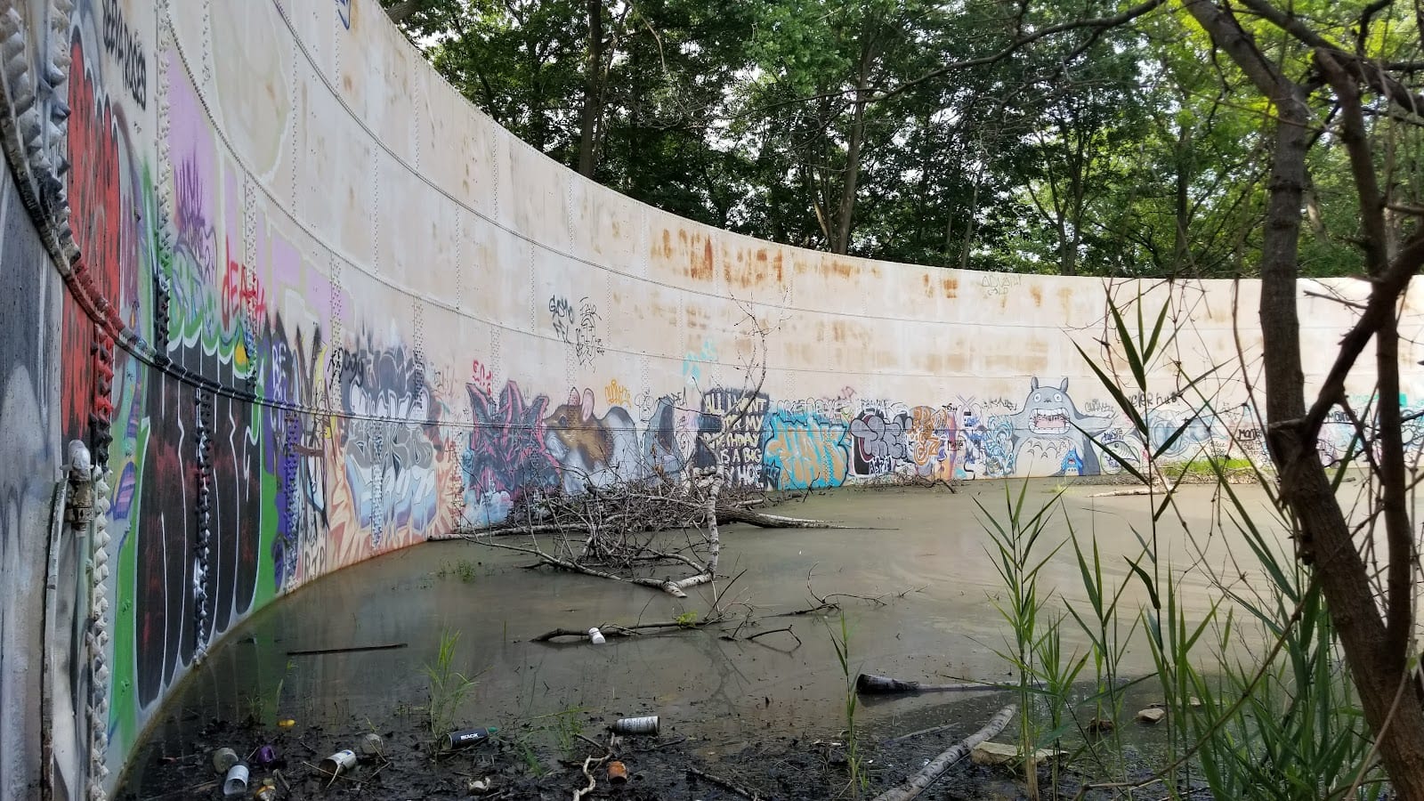 Washington Grove, photo 3
