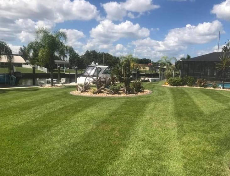 Envious Lawn and Landscape LLC, photo 4