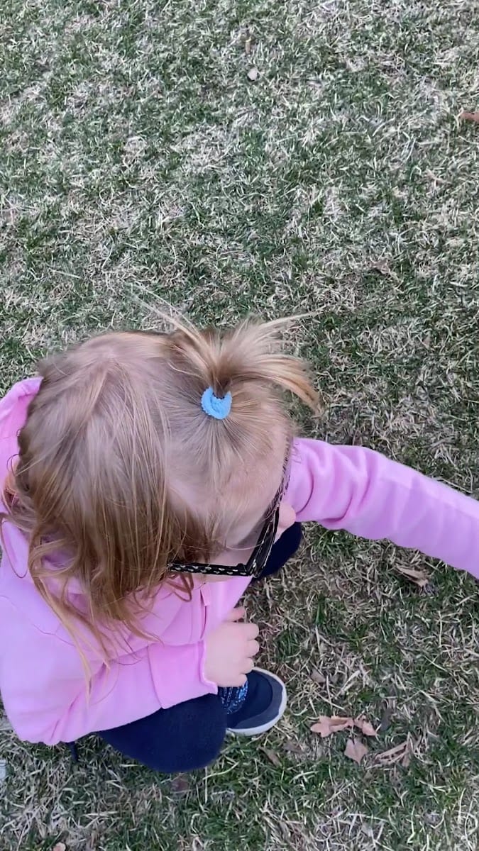Avondale Park, photo 2