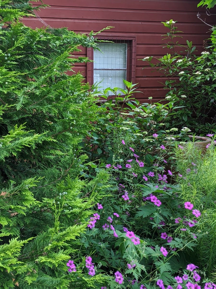 Artful Gardener LLC