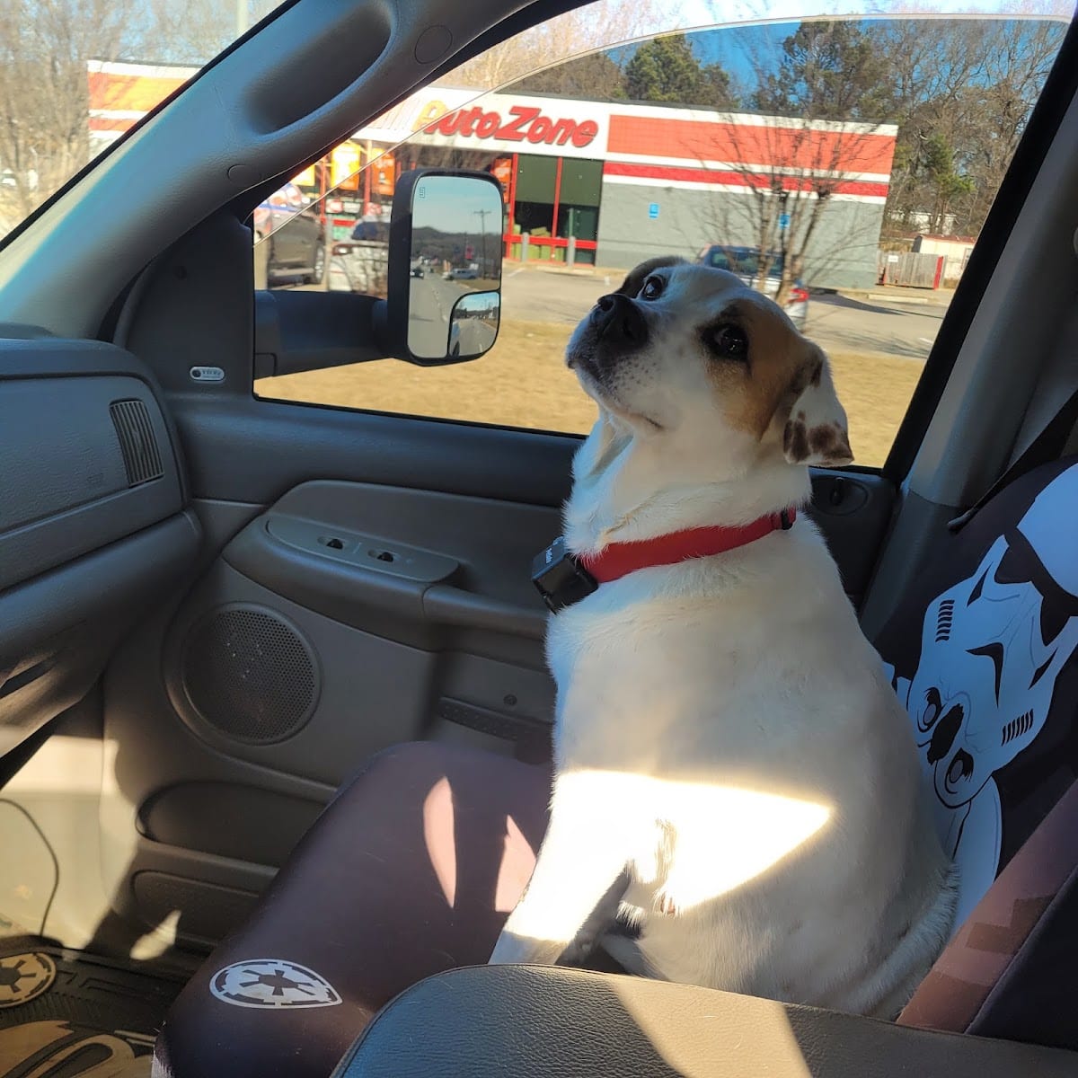 AutoZone Auto Parts, photo 4