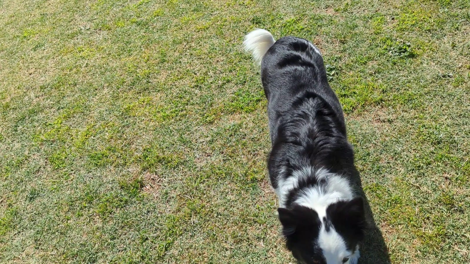 George 'Doc' Cavalliere Park, photo 2